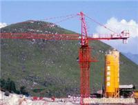 貴陽塔吊出租服務(wù)——重慶中建機(jī)械制造（貴州、云南片區(qū)）專業(yè)塔機(jī)租賃